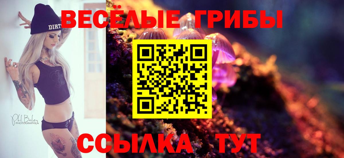 Псилоцибиновые грибы мицелий Партизанск